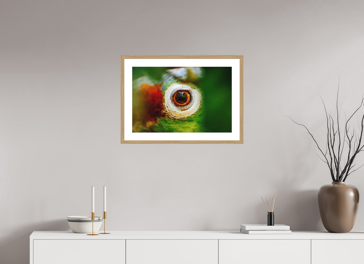 Eye of the Macaw