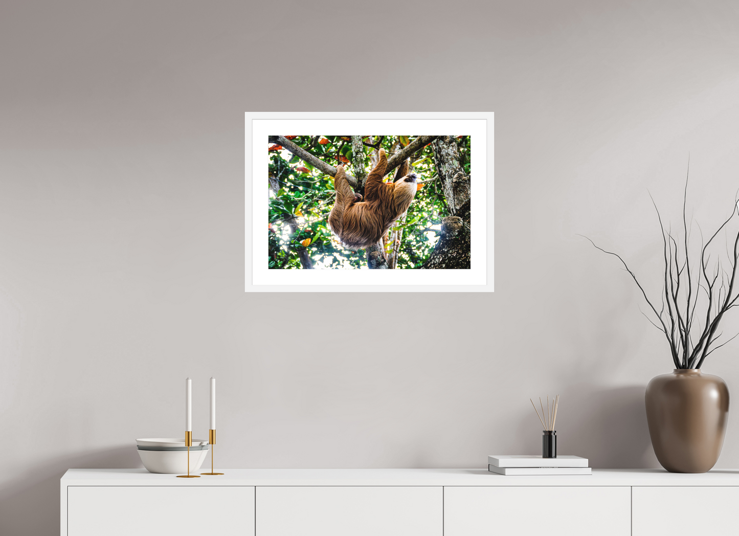 Two-Toed Sloth
