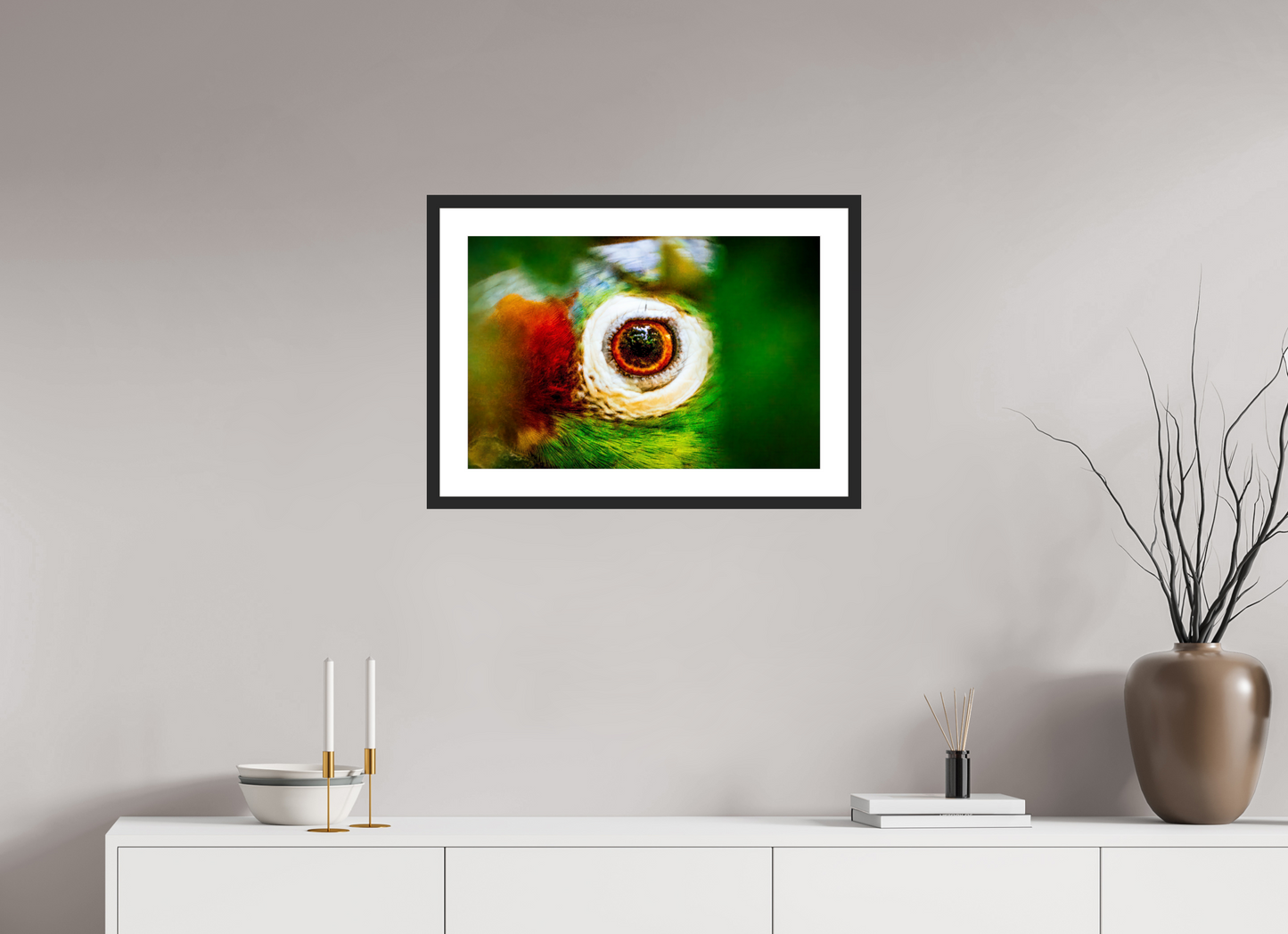 Eye of the Macaw