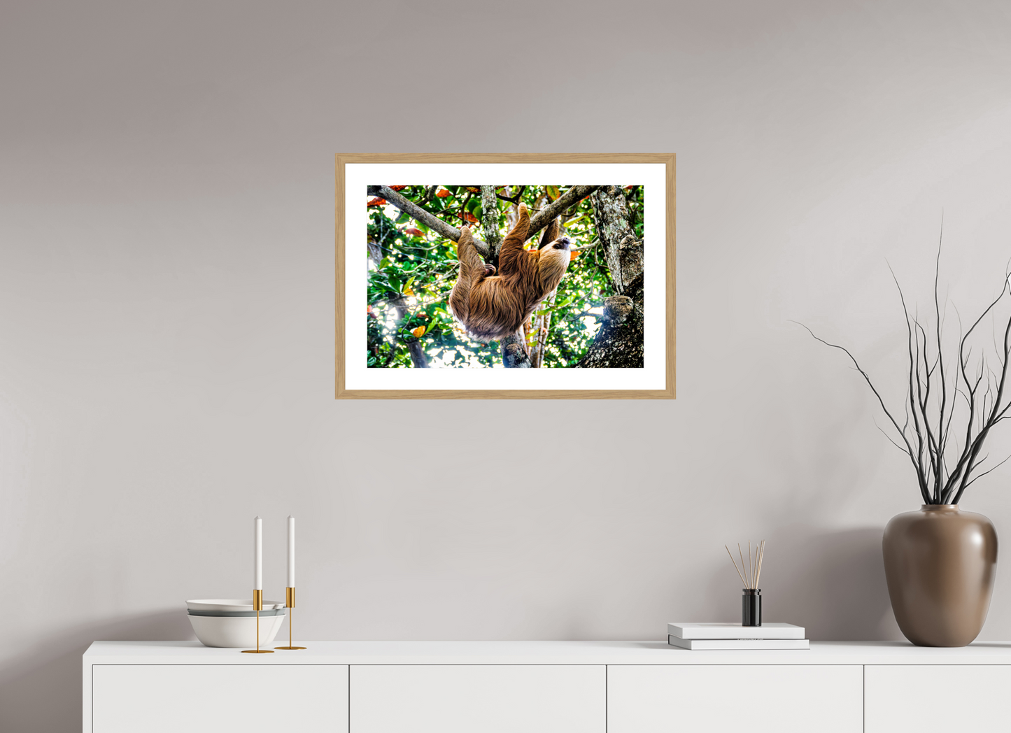Two-Toed Sloth