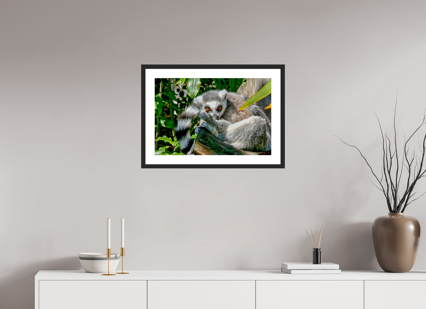 Ring-Tailed Lemur