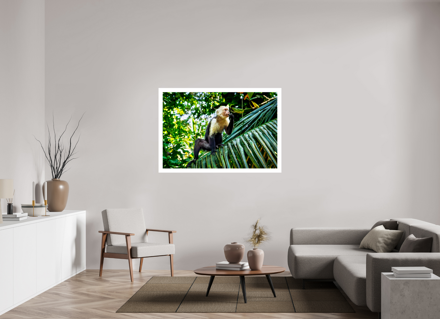Capuchin Monkey