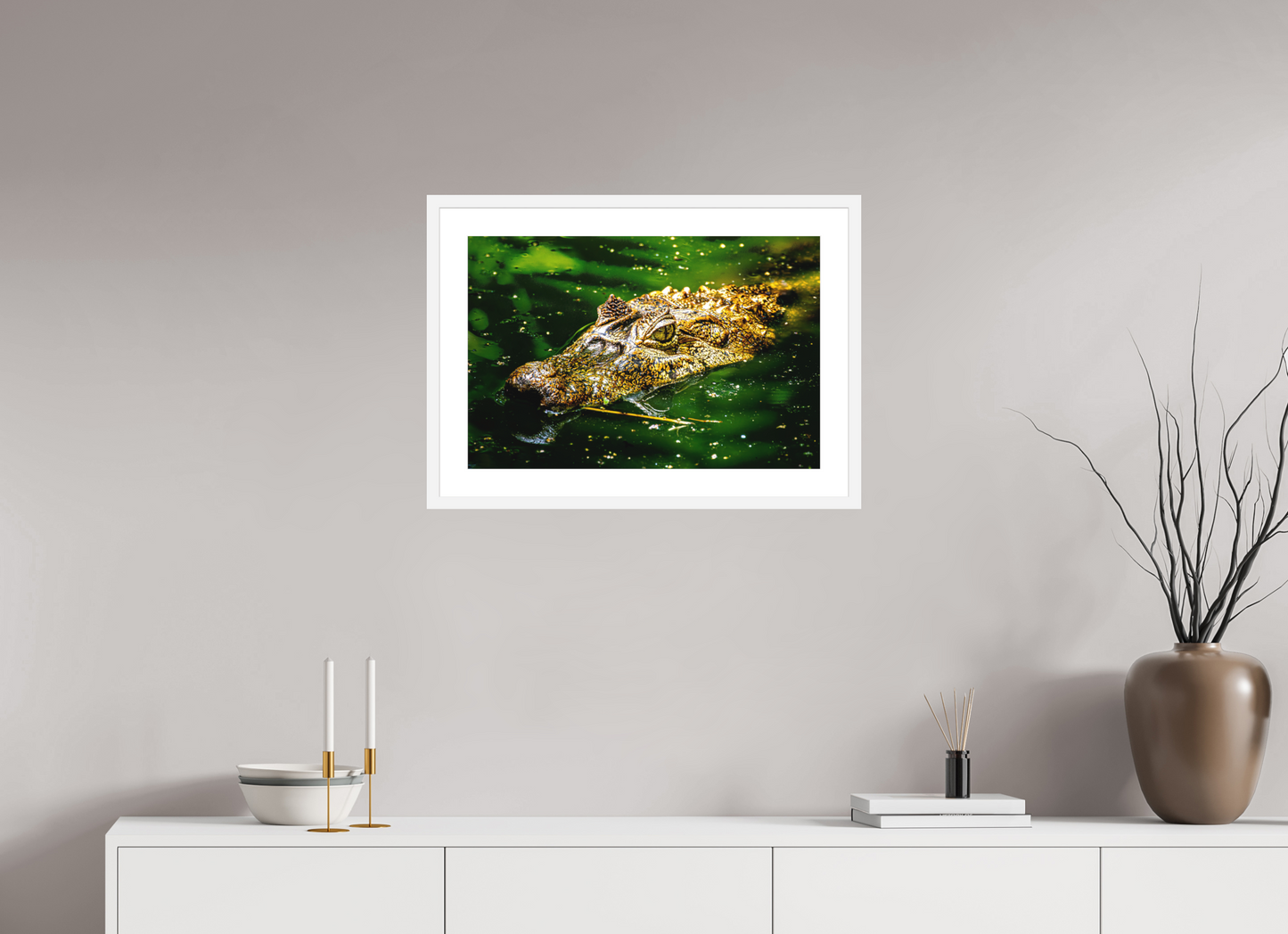 Caiman Crocodile