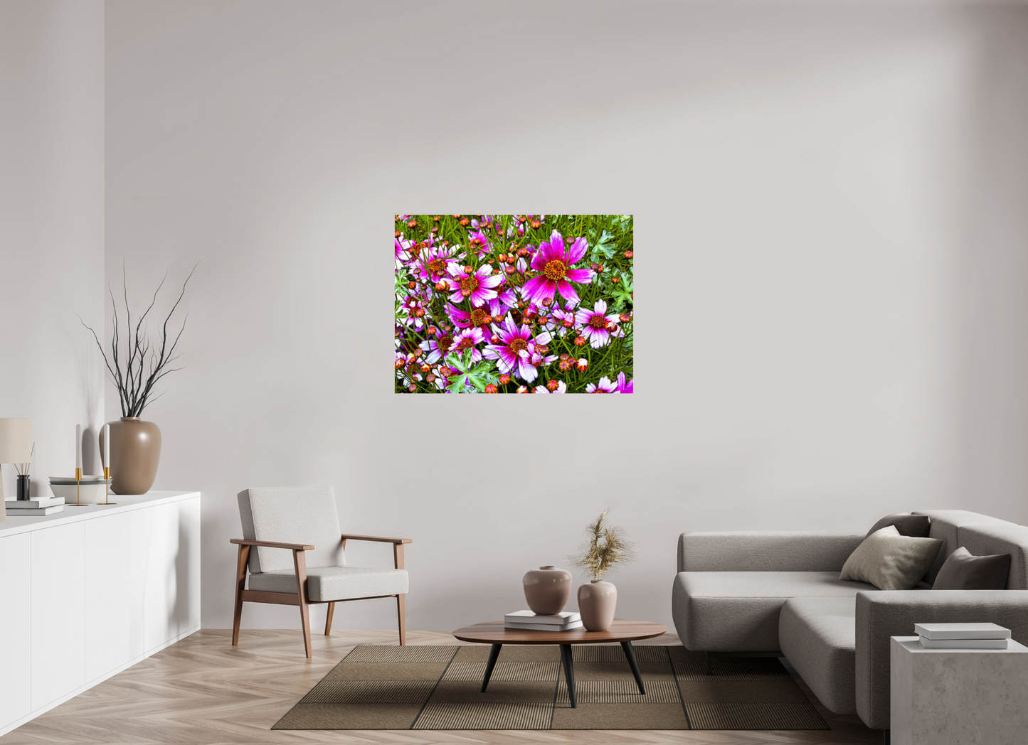 Mexican Aster