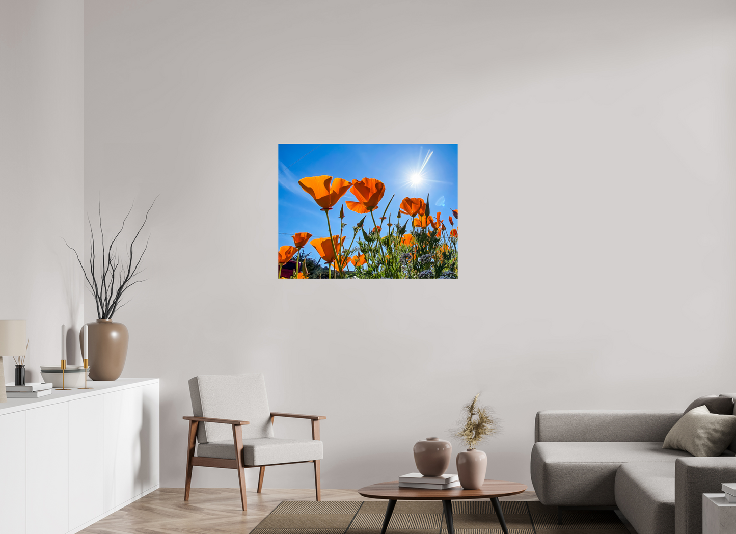 Golden Poppy