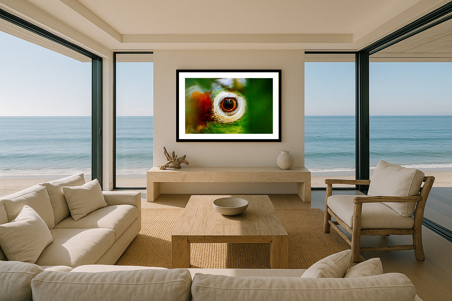 Eye of the Macaw
