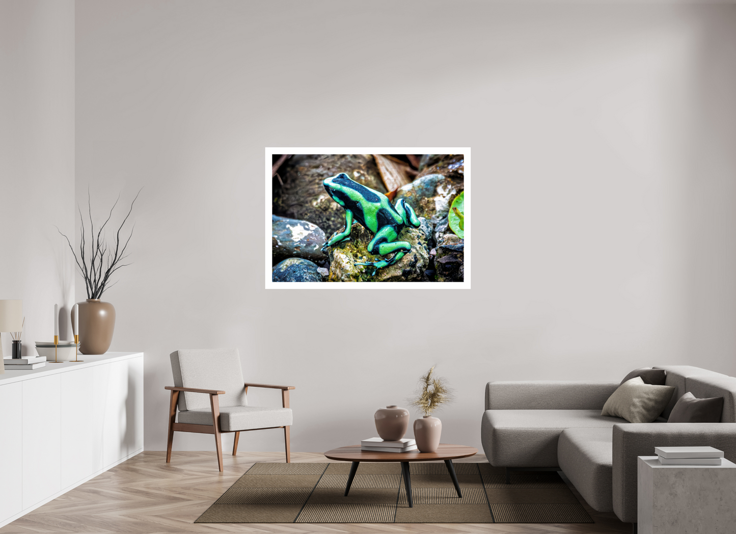 Poison Dart Frog