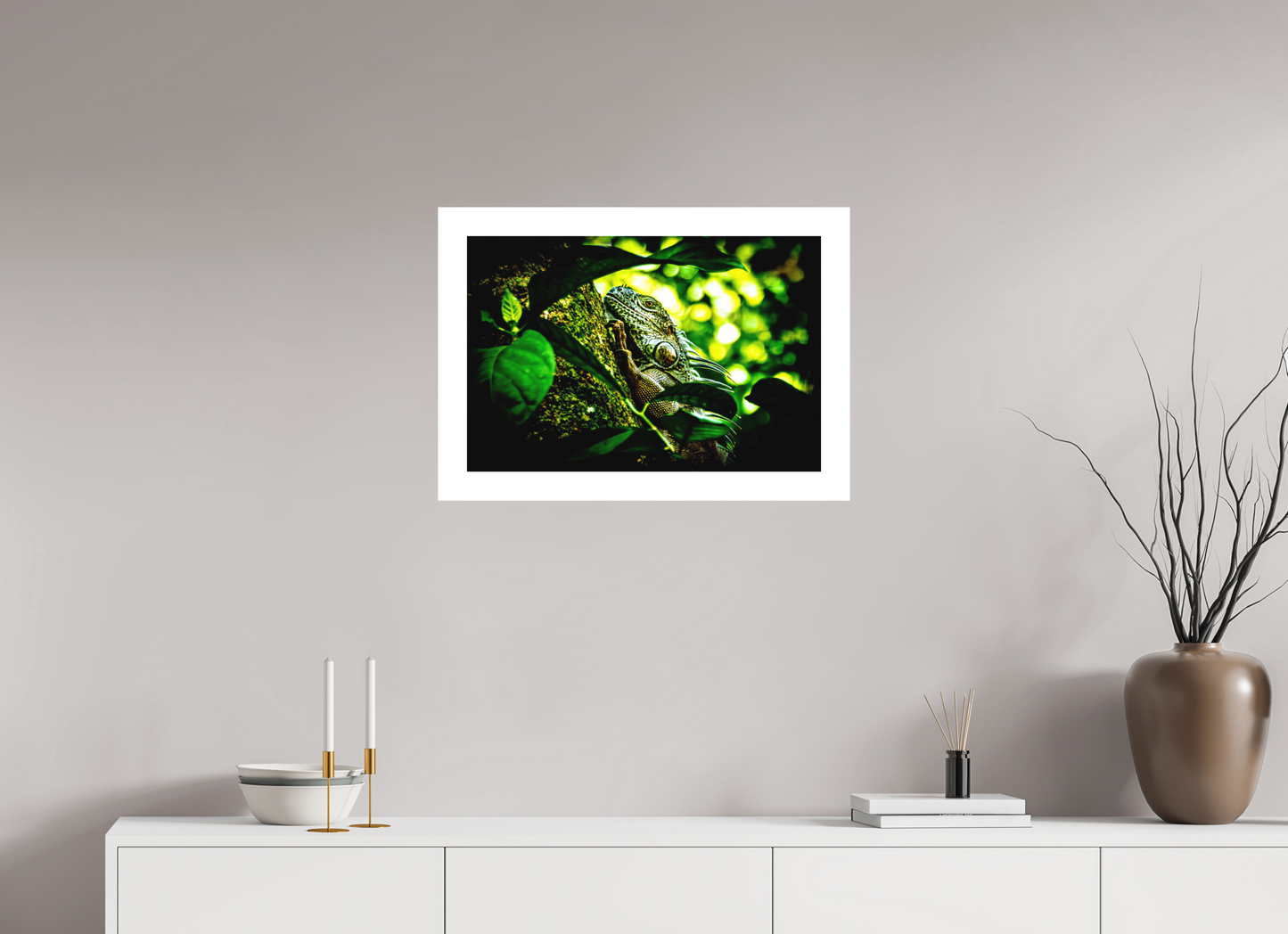 Green Iguana