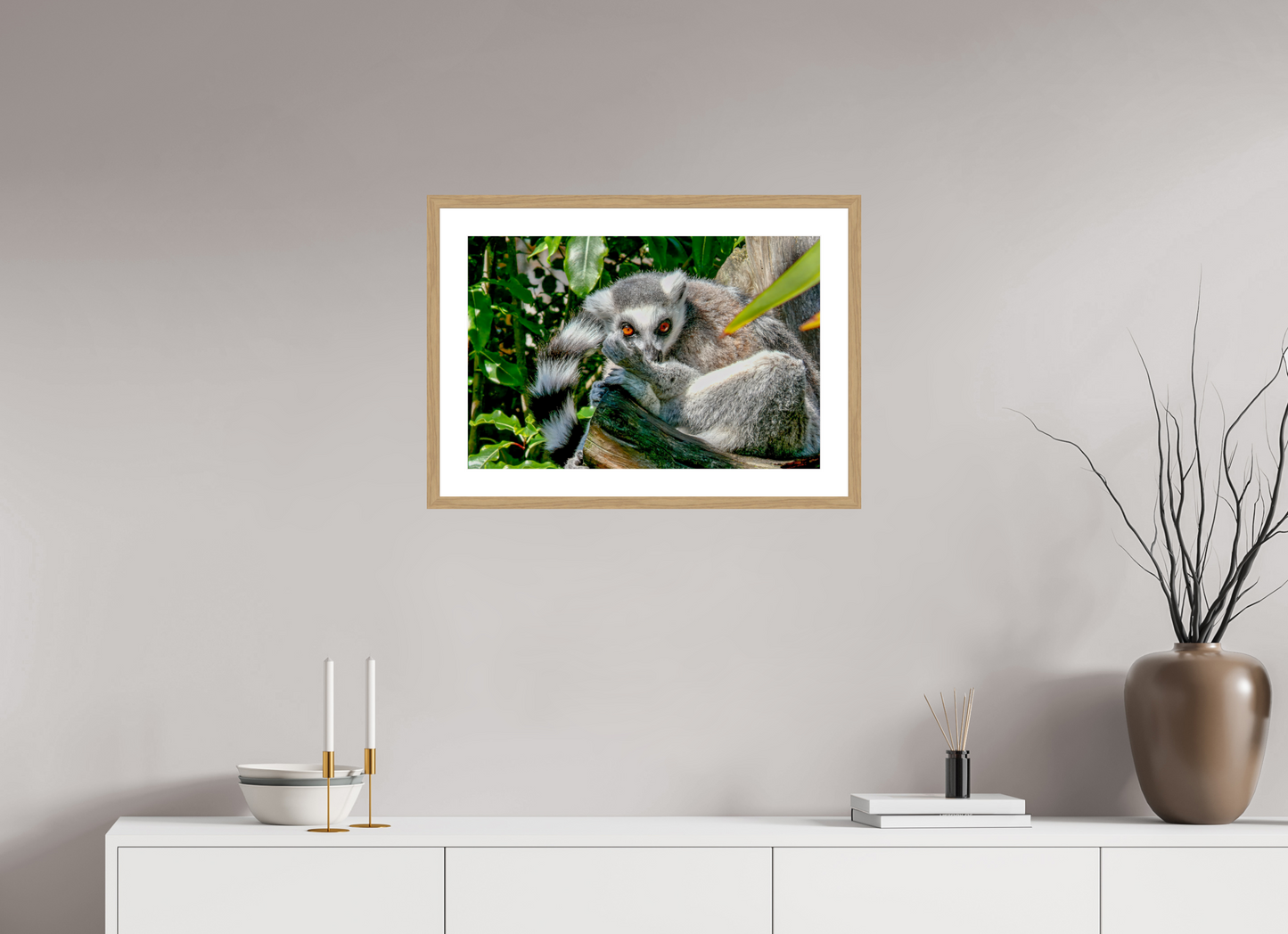 Ring-Tailed Lemur