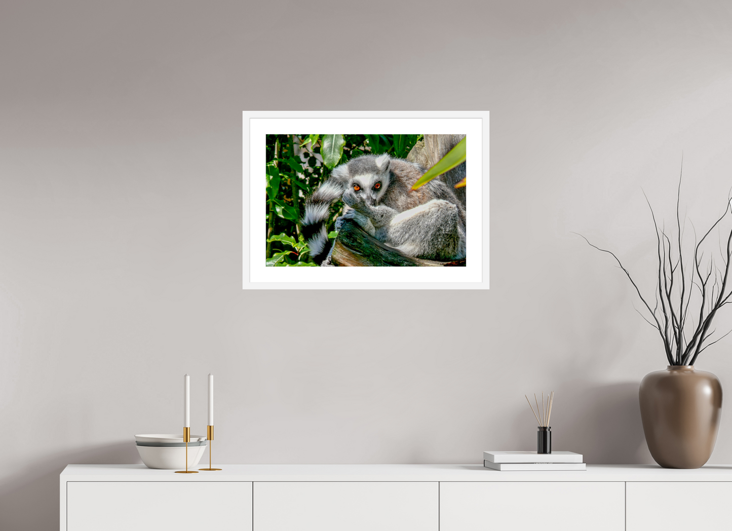 Ring-Tailed Lemur