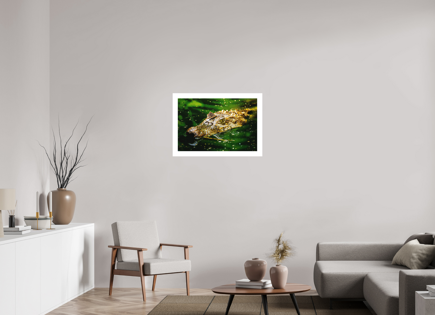 Caiman Crocodile