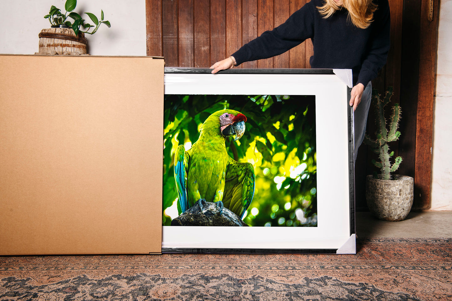 Great Green Macaw