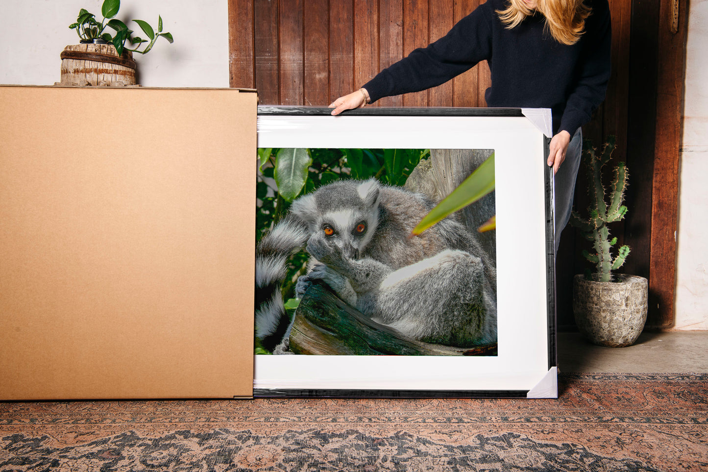 Ring-Tailed Lemur