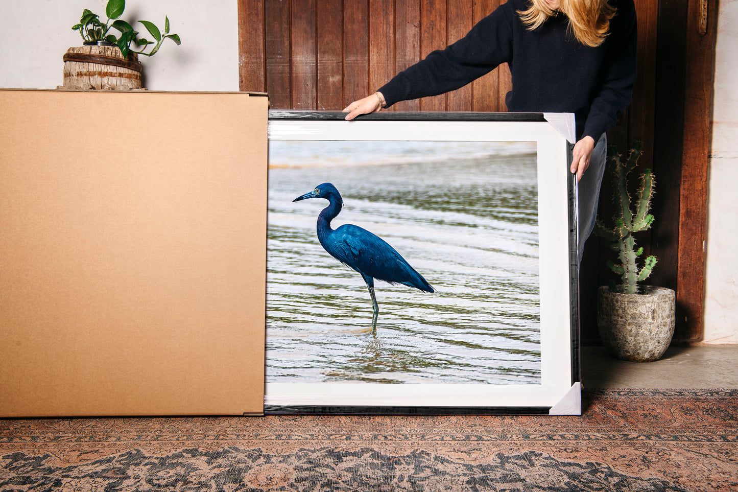 Little Blue Heron