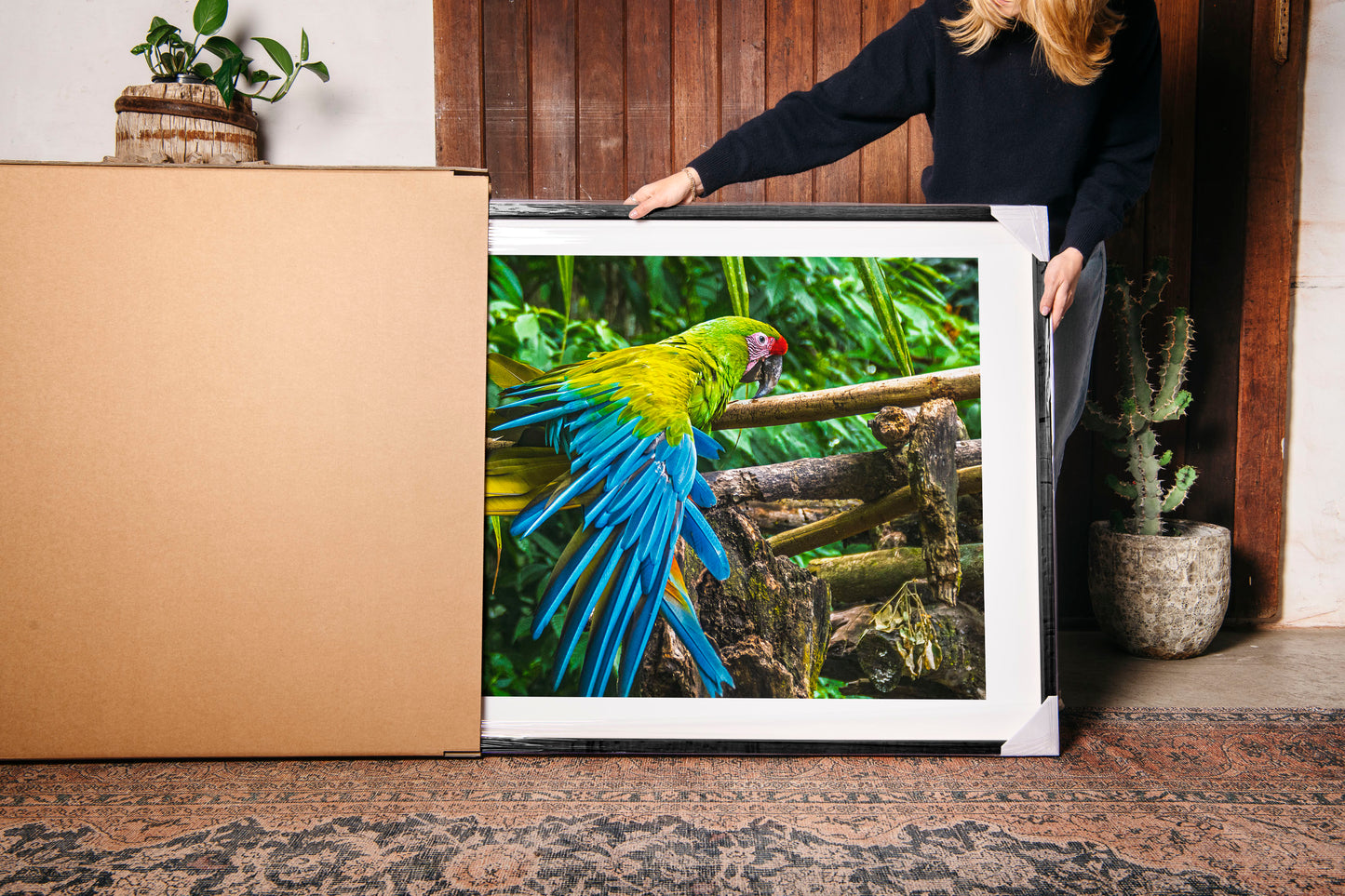 Macaw Wing