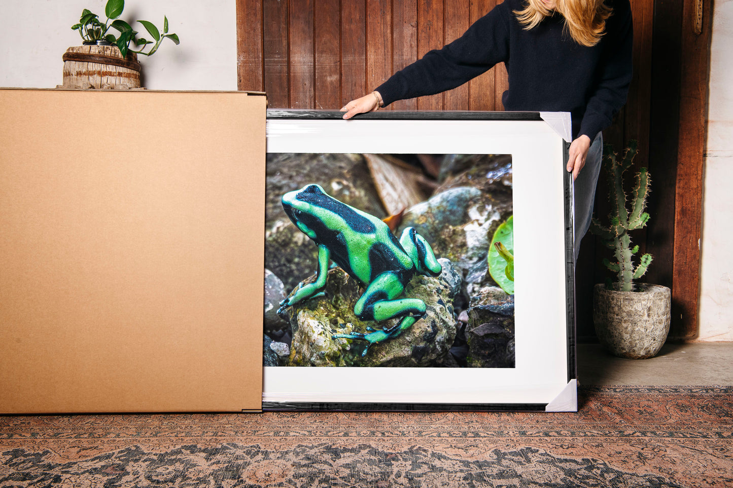 Poison Dart Frog