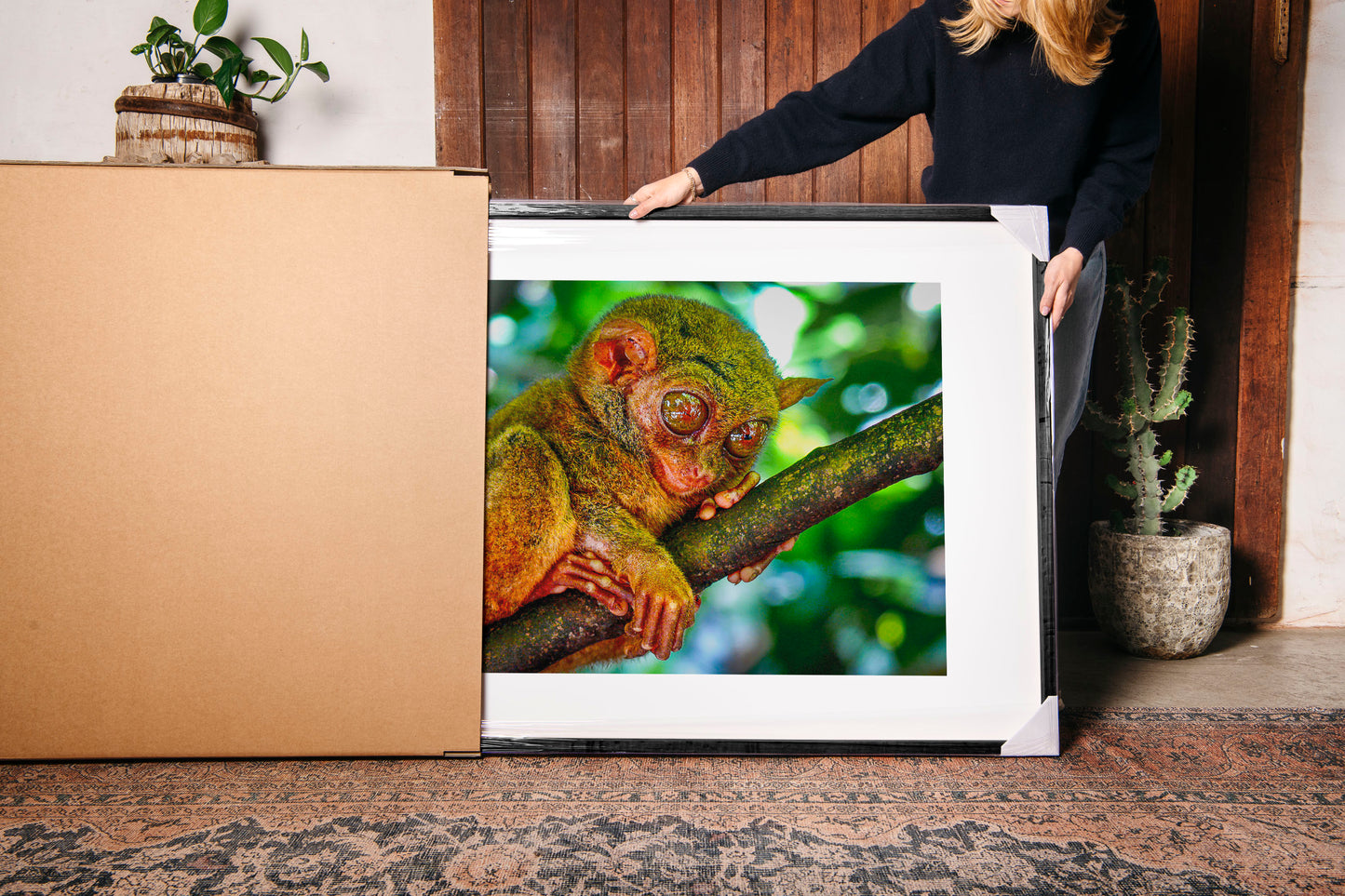 Philippine Tarsier