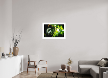 Howler Monkey