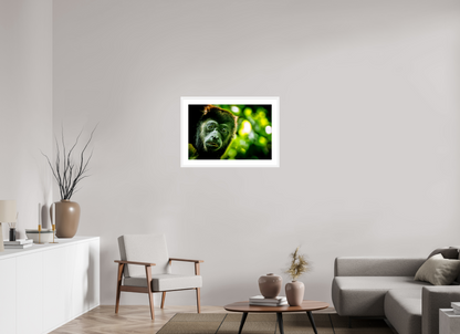 Howler Monkey