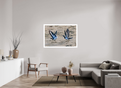 Dancing Sandpipers