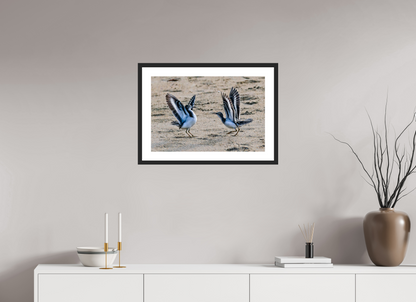 Dancing Sandpipers
