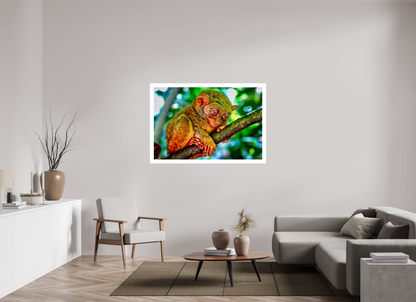 Philippine Tarsier