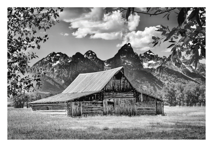 Mormon Row