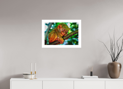Philippine Tarsier