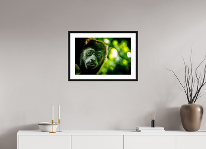 Howler Monkey