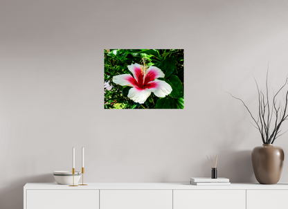 Hawai'ian Hibiscus
