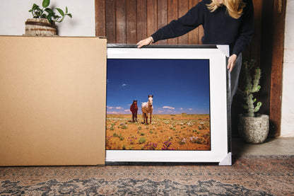 Navajo Horses