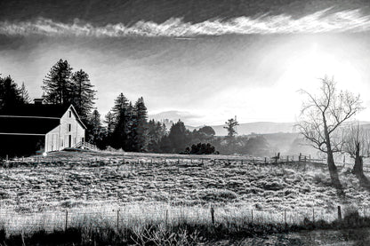 The Red Barn