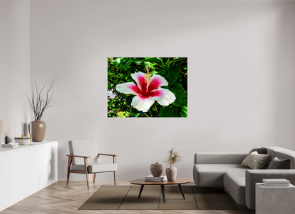 Hawai'ian Hibiscus