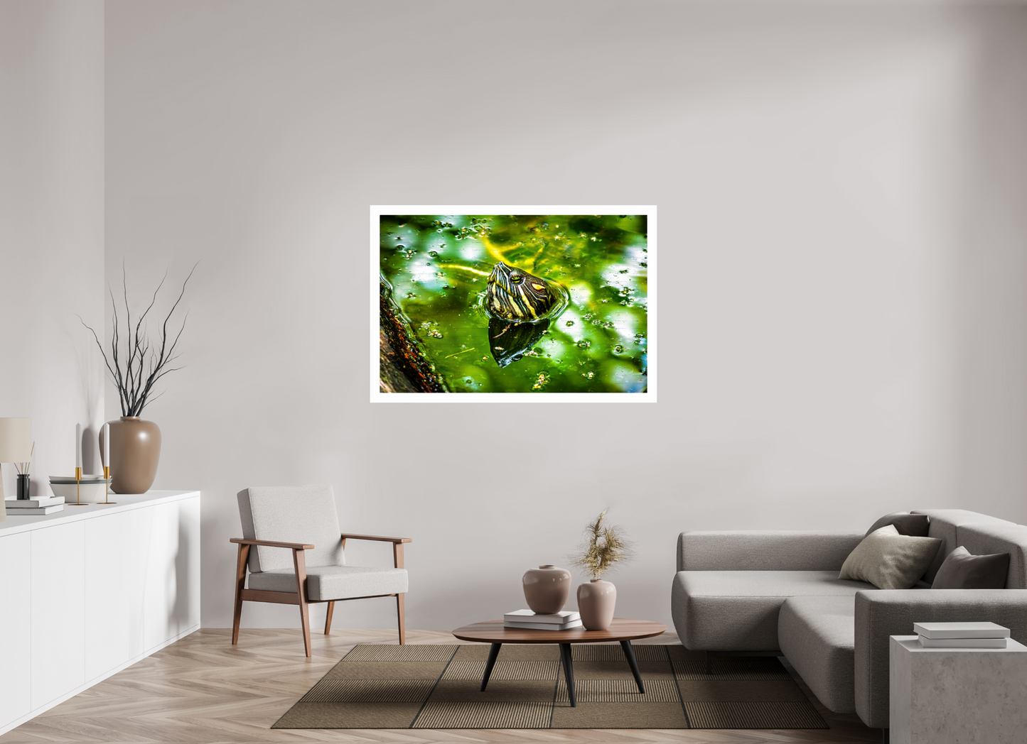 Red Eared Slider Turtle