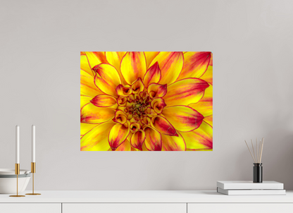 Golden Dahlia