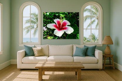 Hawai'ian Hibiscus