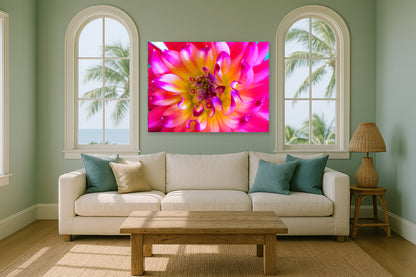 Pink Dahlia